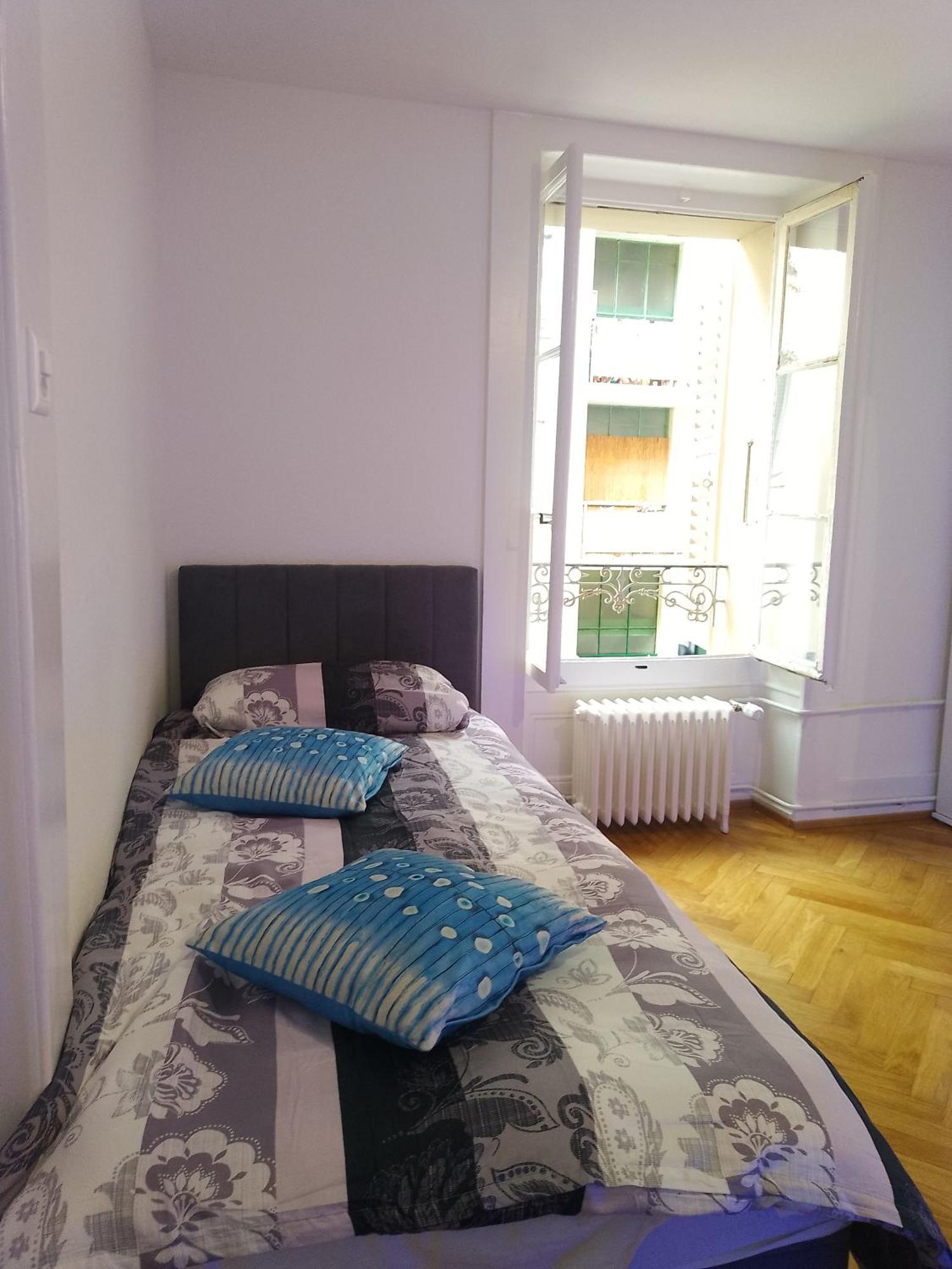 Apartamento Charming Flat Center And Near The Ginebra